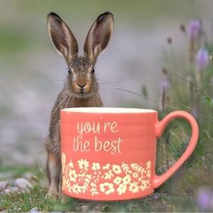 “YOU’RE The Best”  Mug by Threshold Stoneware